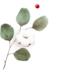 floating_image_06 https://stella-xv.click/wp-content/uploads/2020/10/floating_image_06.png