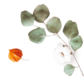 floating_image_07 https://stella-xv.click/wp-content/uploads/2020/10/floating_image_07.png