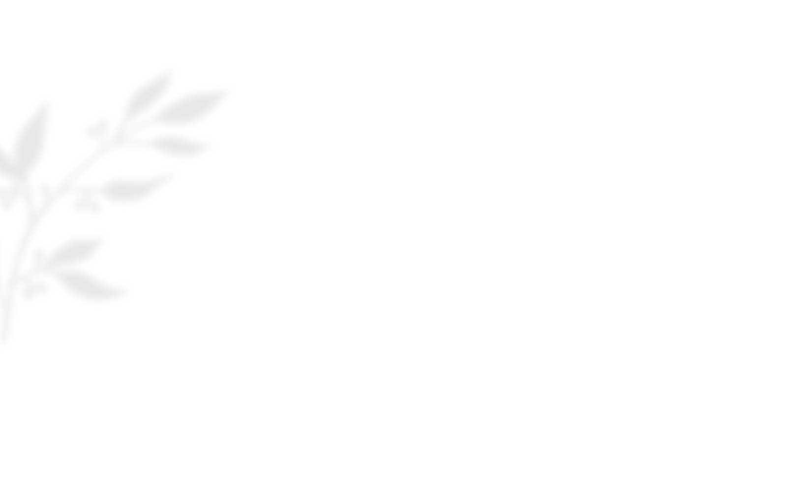 https://stella-xv.click/wp-content/uploads/2020/10/shadow_leaves_03.png