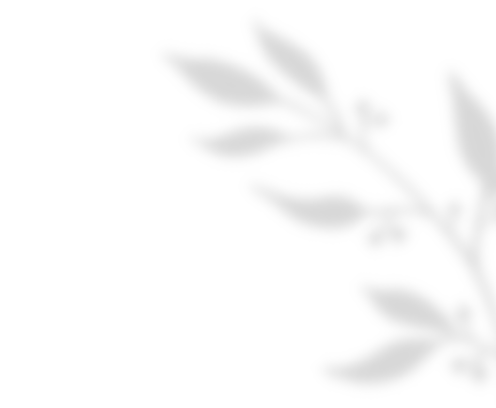https://stella-xv.click/wp-content/uploads/2020/11/shadow_leaves_01.png
